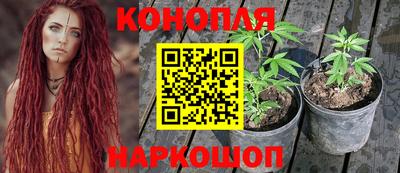 Альфа ПВП Бердск