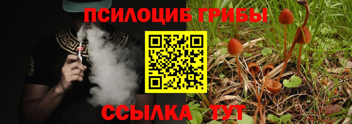 Гуково  Галлюциногенные грибы ЛСД  Галлюциногенные грибы GOLDEN TEACHER  Вход с VPN 