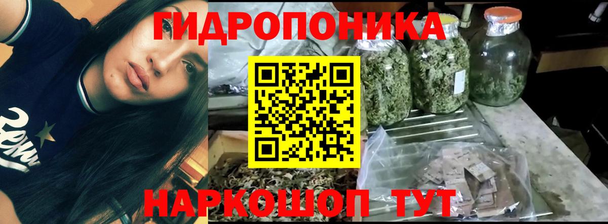 Канабис Bruce Banner  Вход с VPN  Конопля ГИДРОПОН  Гуково  Бошки Шишки White Widow 